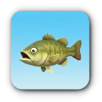 青背魚
