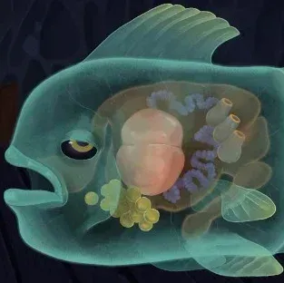 ソウルフィッシュ