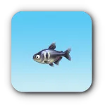 黒背魚