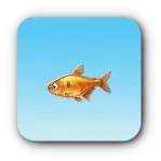 黄尾魚