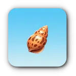 斑りんご貝