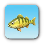 黄ヒレ魚