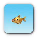 金点魚