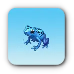 コバルトヤドクガエル