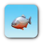 赤腹魚