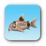 白ヒゲ魚