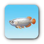 トビウオ