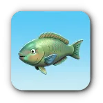 青魚