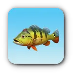 黄斑魚