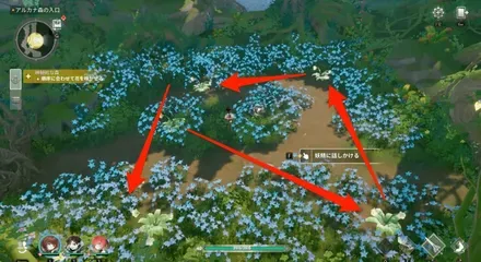 妖精のいたずら