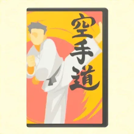 空手入門DVD画像