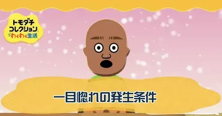 一目惚れの発生条件