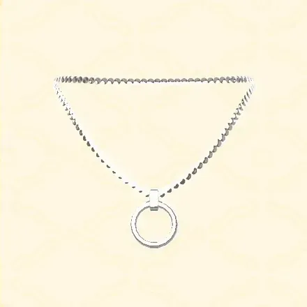 リングネックレス画像