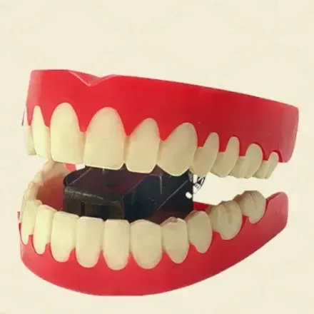 ゼンマイ式の入れ歯画像