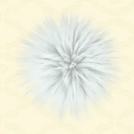 ケセランパサラン画像