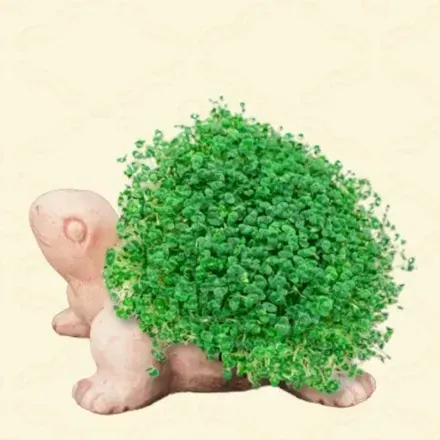 動物の植木鉢画像