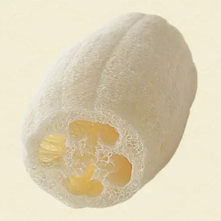 ヘチマスポンジ画像