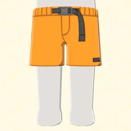 アウトドアショーツ画像