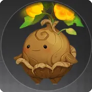 キリノタネの画像