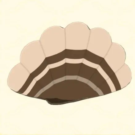 七面鳥のしっぽ画像