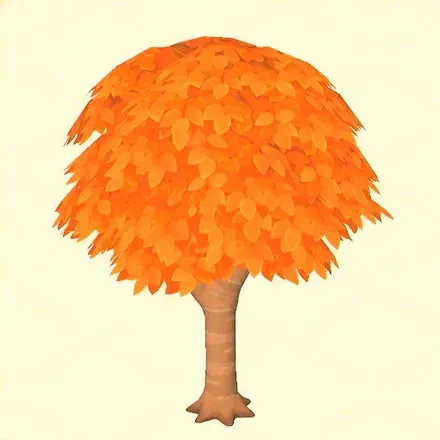 広葉樹（紅葉）画像