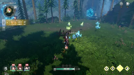 ホタルの森を進む