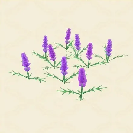 ラベンダー画像