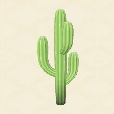 サボテン画像
