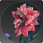 歪んだ血飲み花の画像