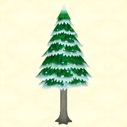 針葉樹（雪）画像