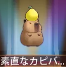 少女廻戦の素直なカピパラ