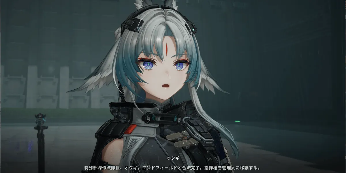 応龍特殊作戦部隊隊長