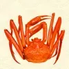 カニ画像