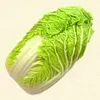 白菜画像