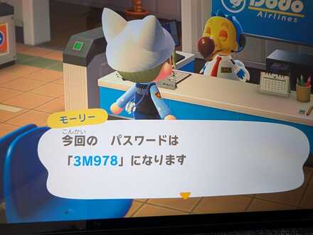 コメント画像