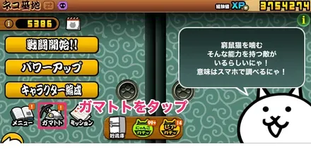 ネコ基地