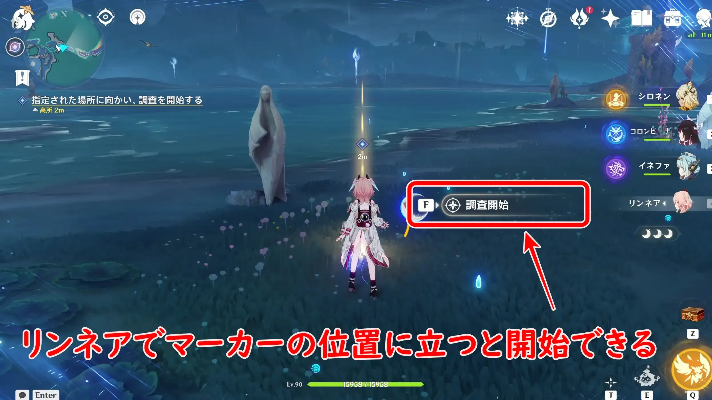 モサモサアナグマ2