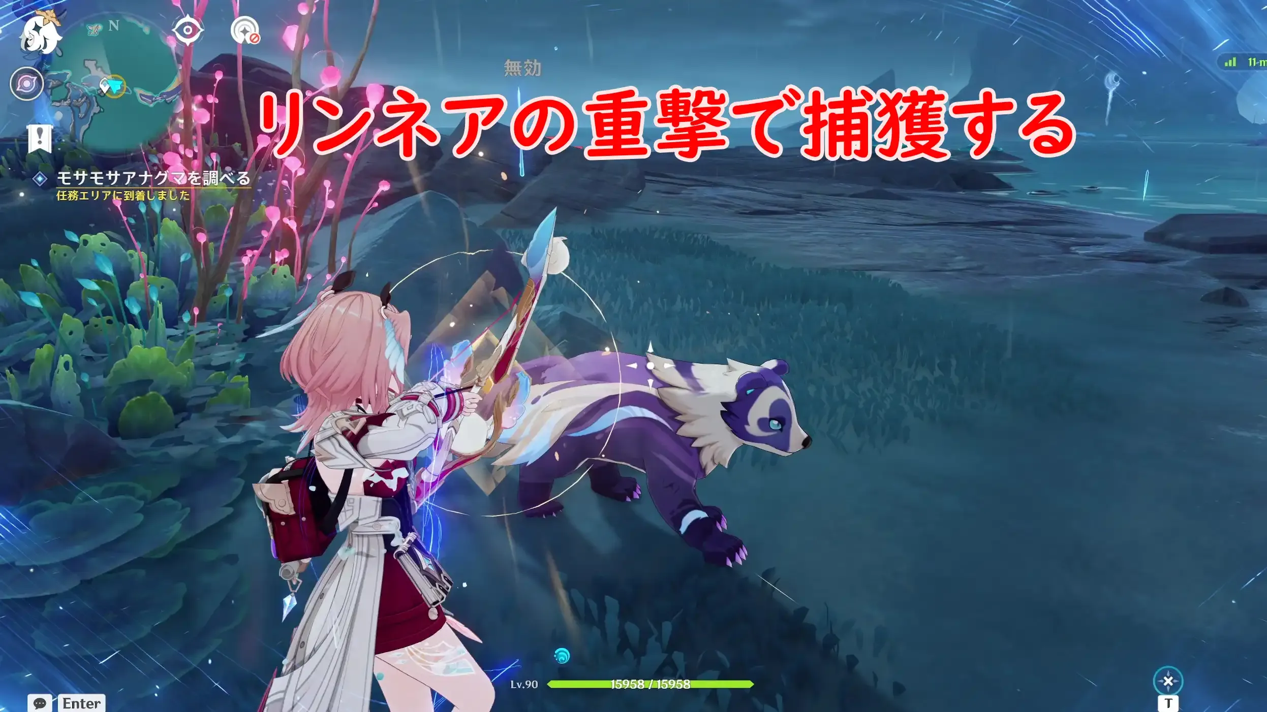 モサモサアナグマ3