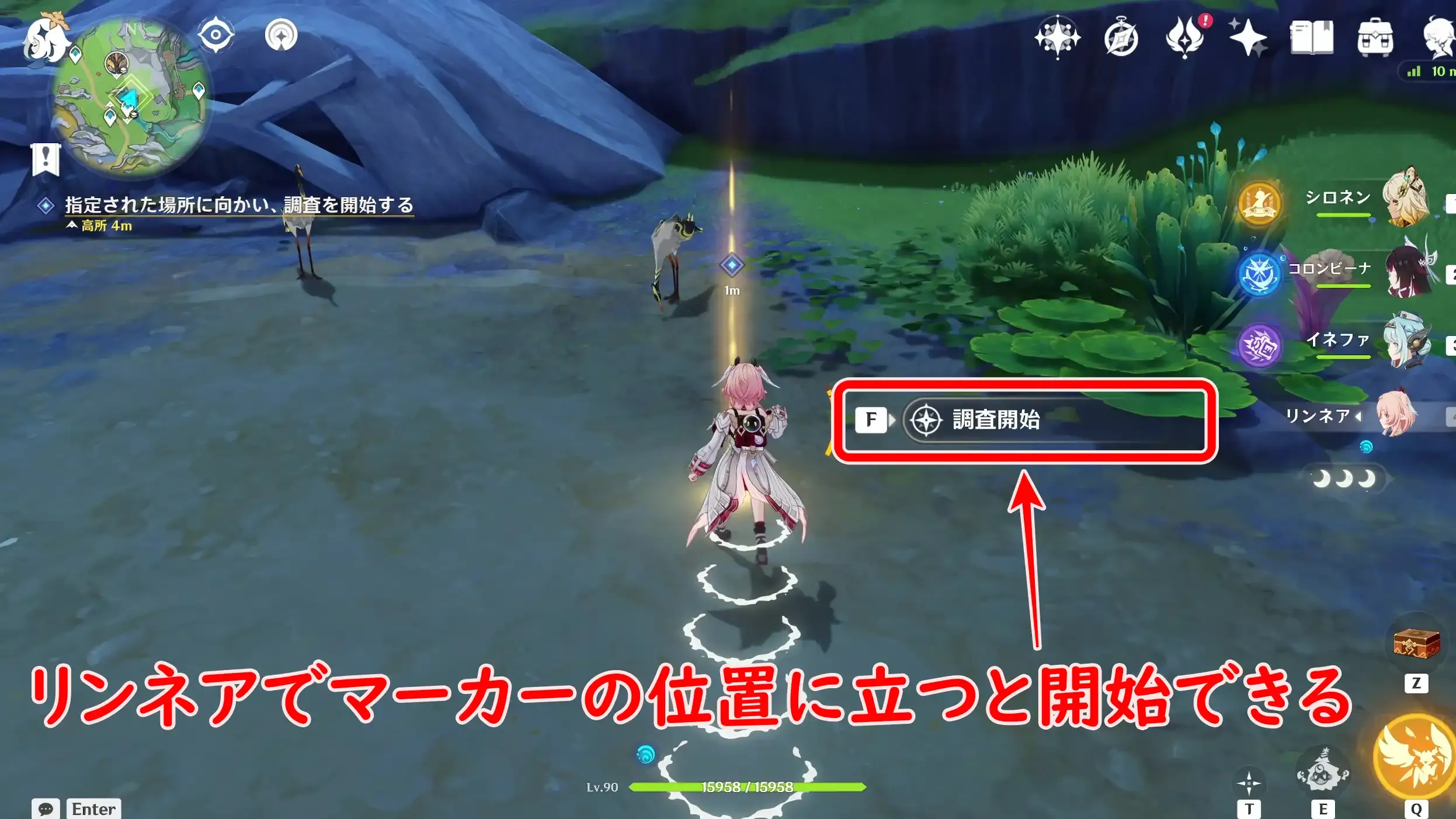 金サンショウウオ2