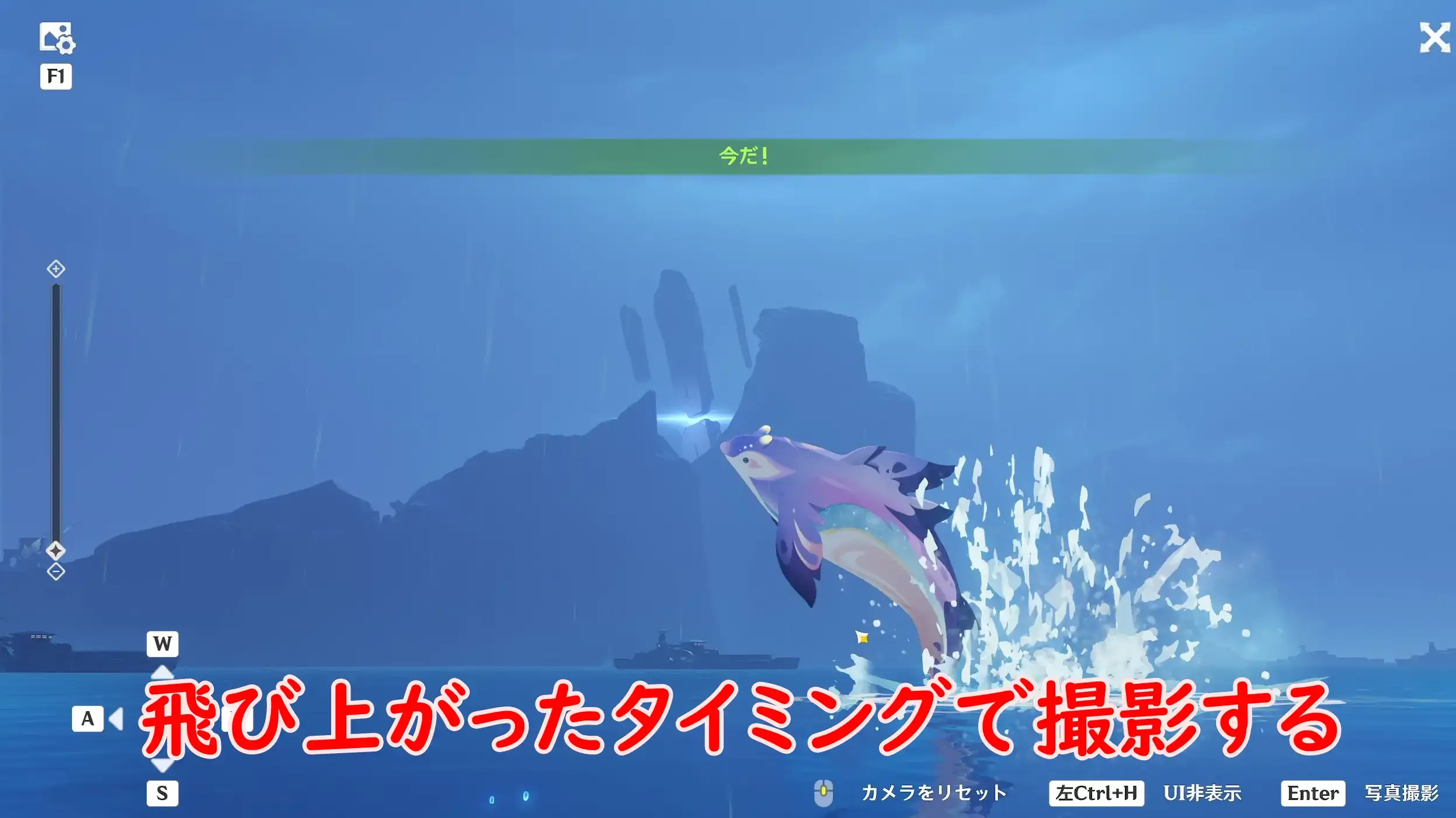 フロストフィンイルカ4