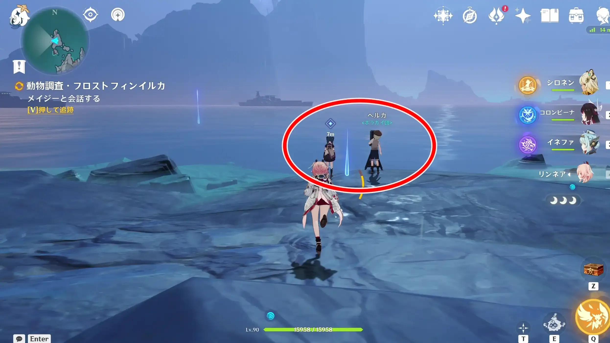 フロストフィンイルカ3