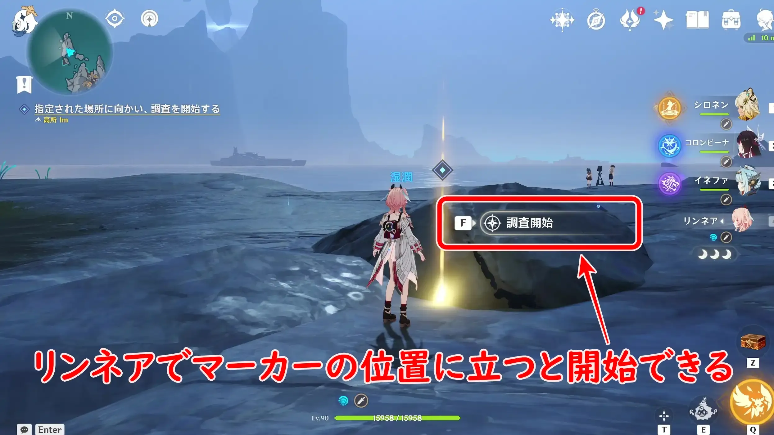 フロストフィンイルカ2