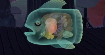 ソウルフィッシュ