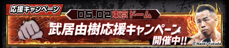 襲来イベント攻略パック