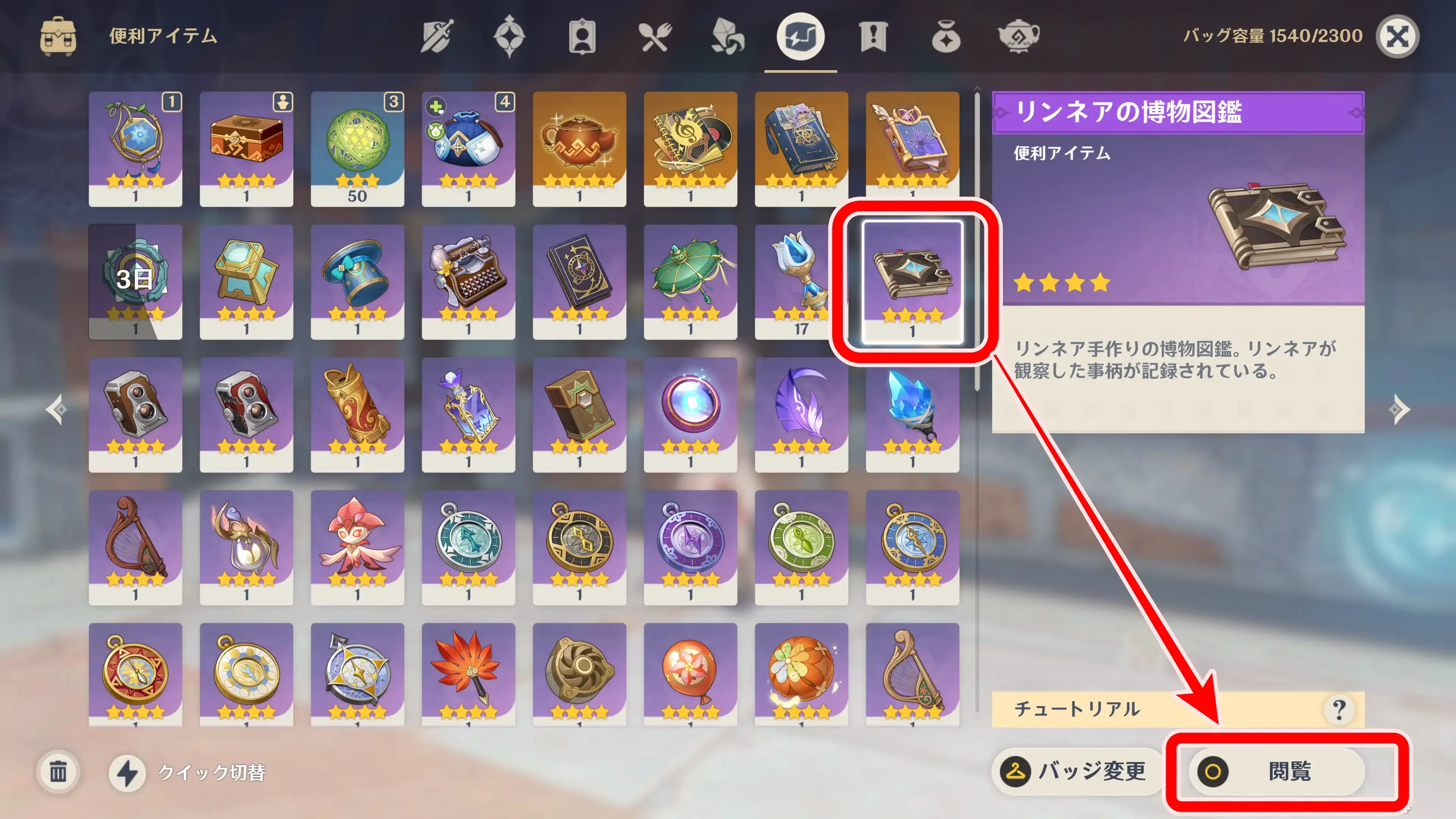 博物図鑑バッグ