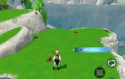 大王コガネムシ_見た目