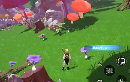 誘惑のキノコ_見た目