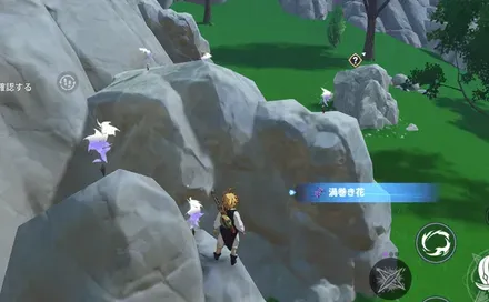 渦巻き花_見た目