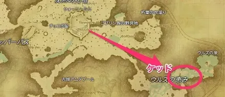 黒衣森：南部森林・水天2