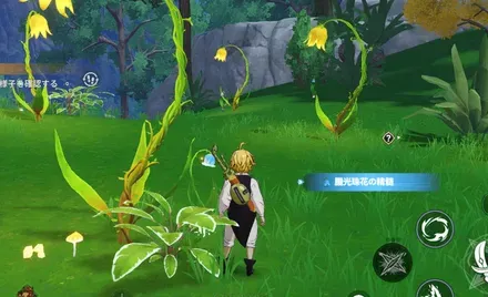 朧光珠花の精髄_見た目